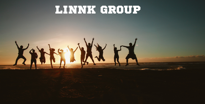 Linnk Group: Empowering STEM Talent and Global Growth
