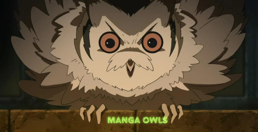Manga Owls