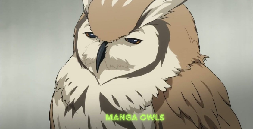 Manga Owls
