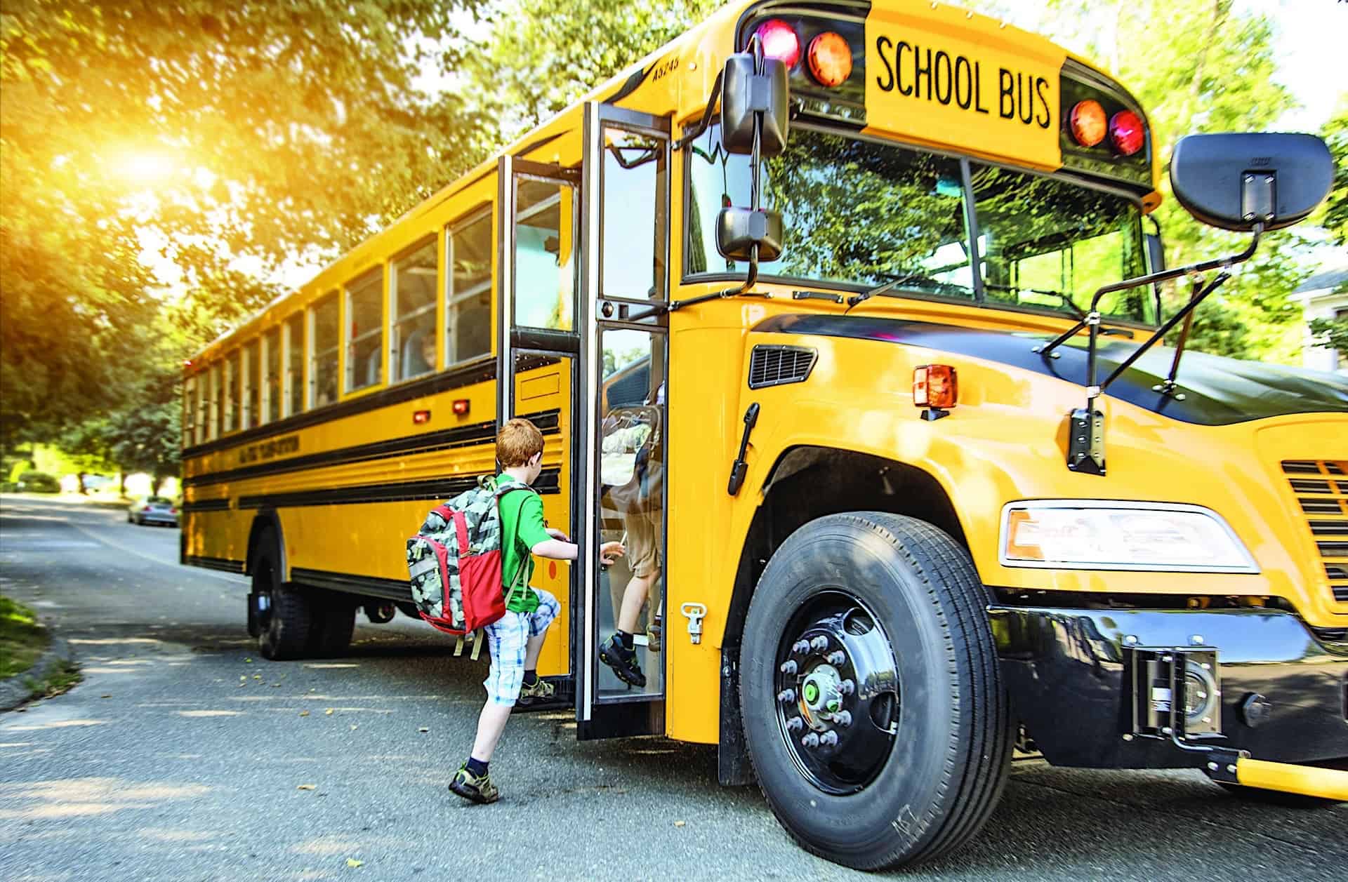 3 Reasons Why Don’t School Buses Have Seat Belts