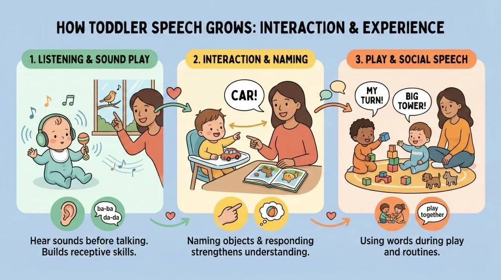 How Toddlers Learn Speech