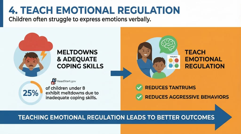 Teach Emotional Regulation